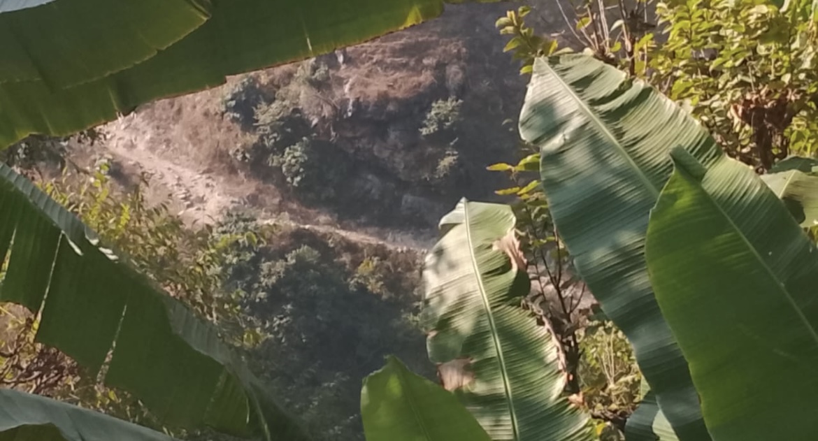 पाँच सालों से एक दफ़्तर से दूसरे दफ़्तर चक्कर काट रही पतलचौरा सड़क मार्ग की फाइल, डीएम को भेजा प्रार्थना पत्र