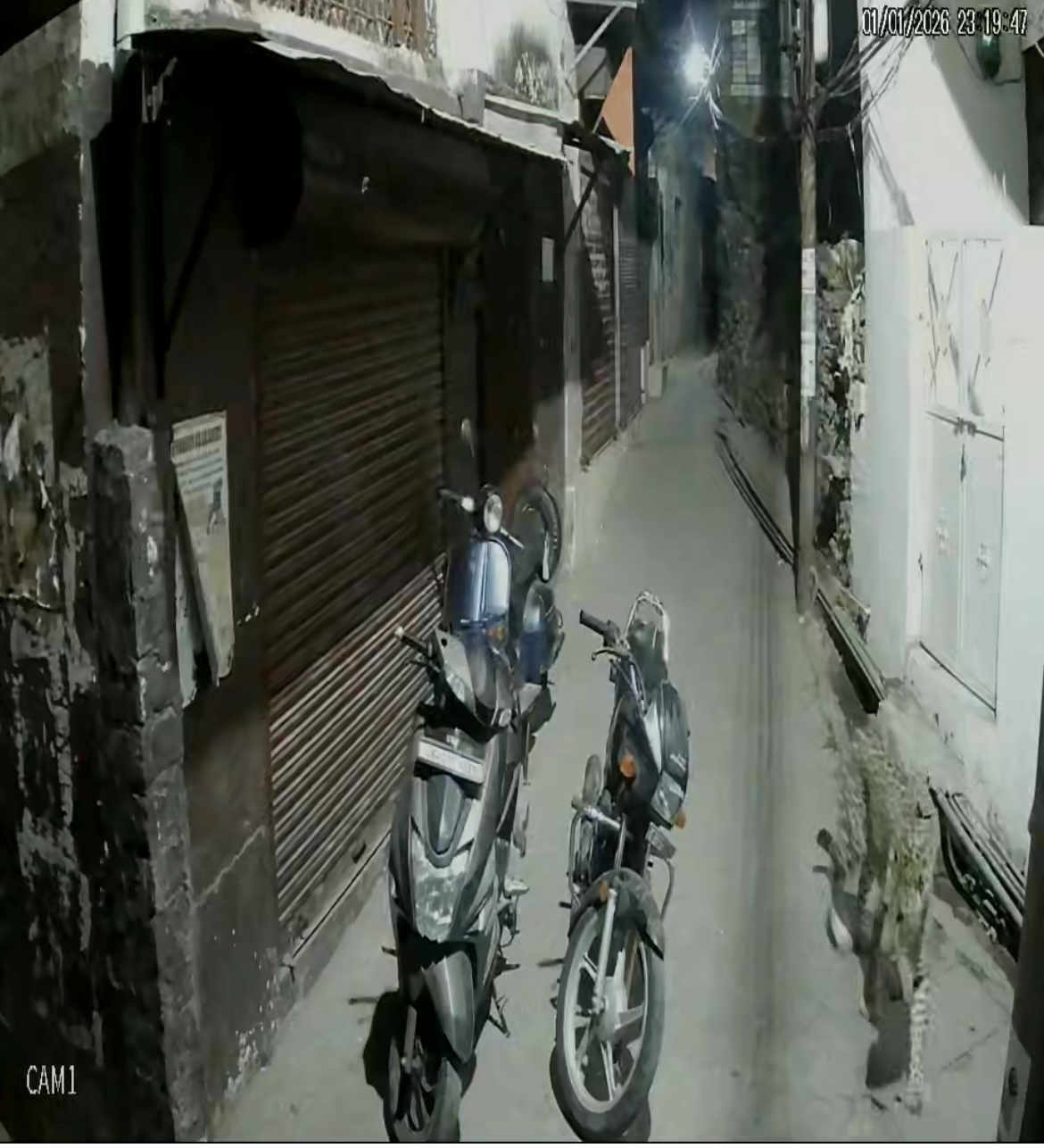 बाजार की गलियों में फिर से गुलदार की दस्तक, लोगों में दहशत