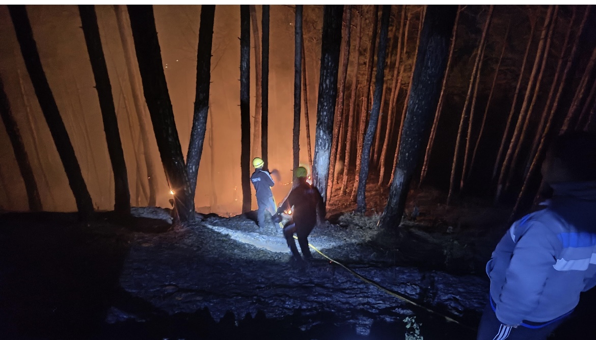 तेज़ी से घरों की ओर बढ़ती आग पर फायर सर्विस अल्मोड़ा ने पाया क़ाबू